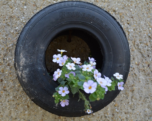 Como fazer jardim com pneus