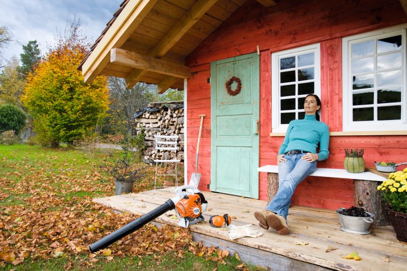 Soprador STIHL BG 56 - Imagem 4